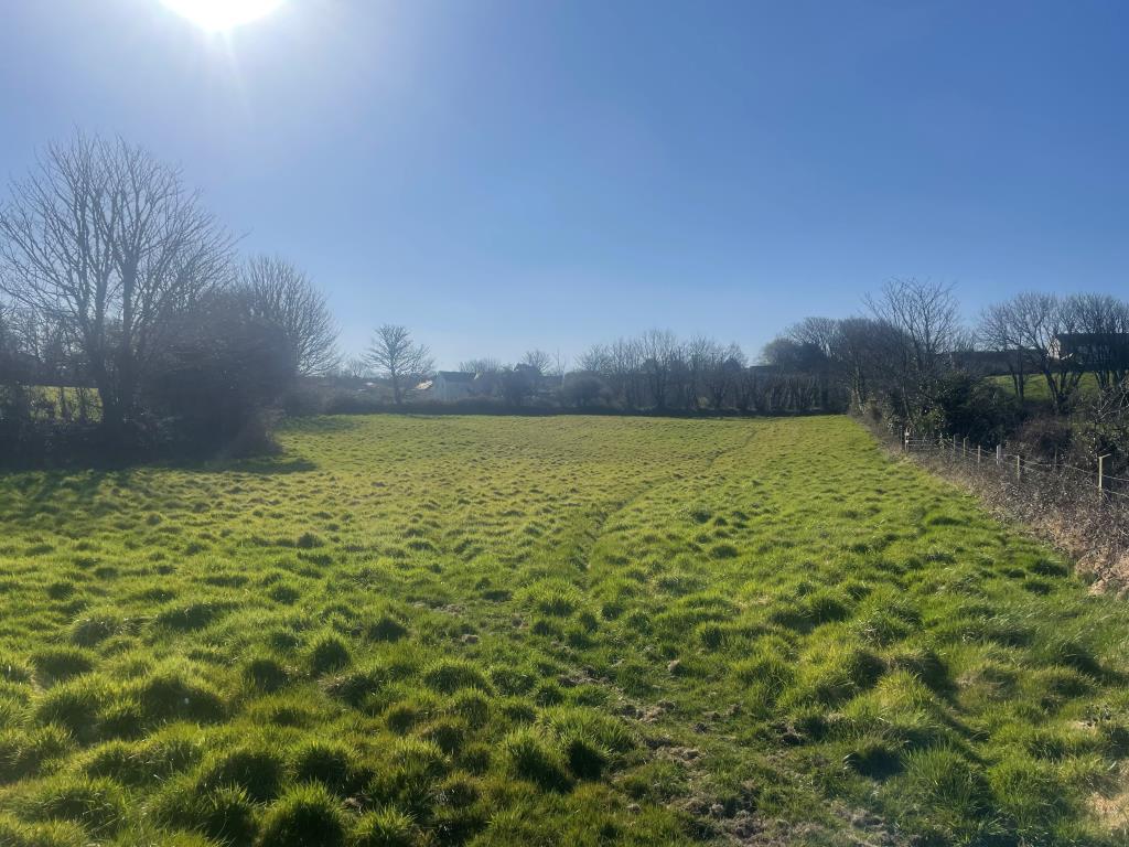 Lot: 9 - LAND WITH STABLE BLOCK AND BARN - Field bordered by trees and fencing